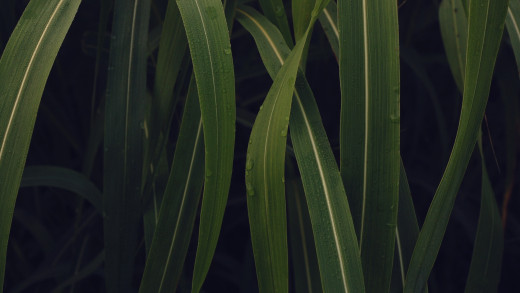 526342 (a): :1920x1080